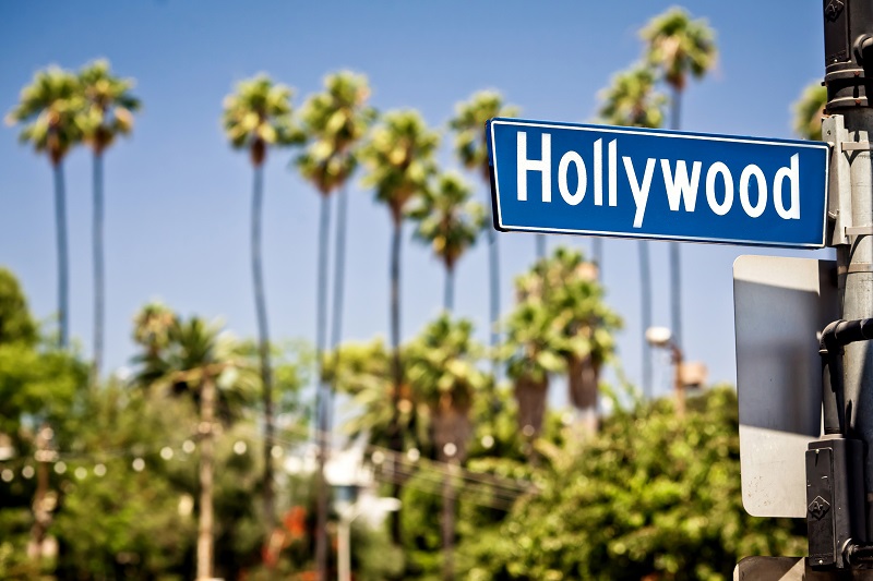 Die Vor- und Nachteile der Hollywood-Diät