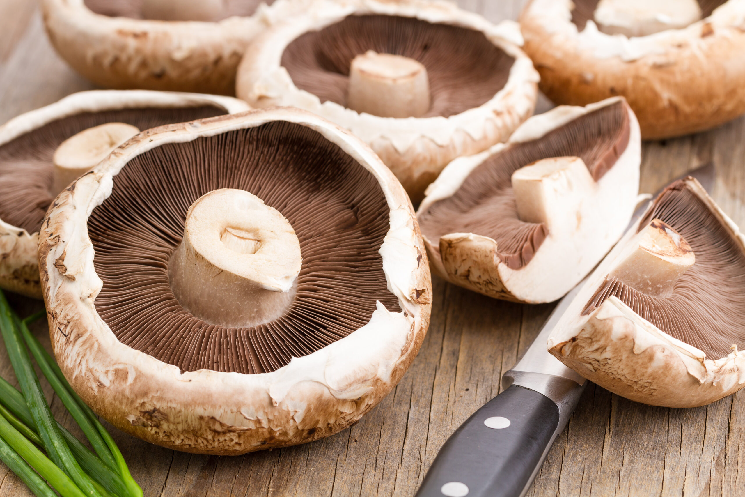 Bremsen Champignons den Alterungsprozess aus? Bremsen Champignons den Alterungsprozess aus?