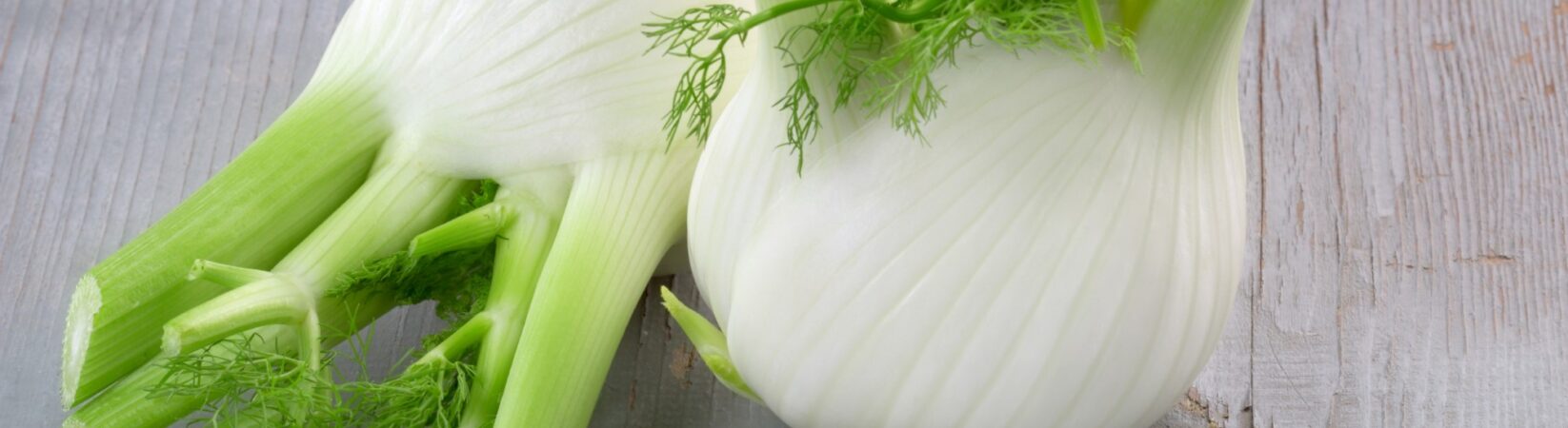 Fenchel – Zu welchen Speisen passt er am besten?