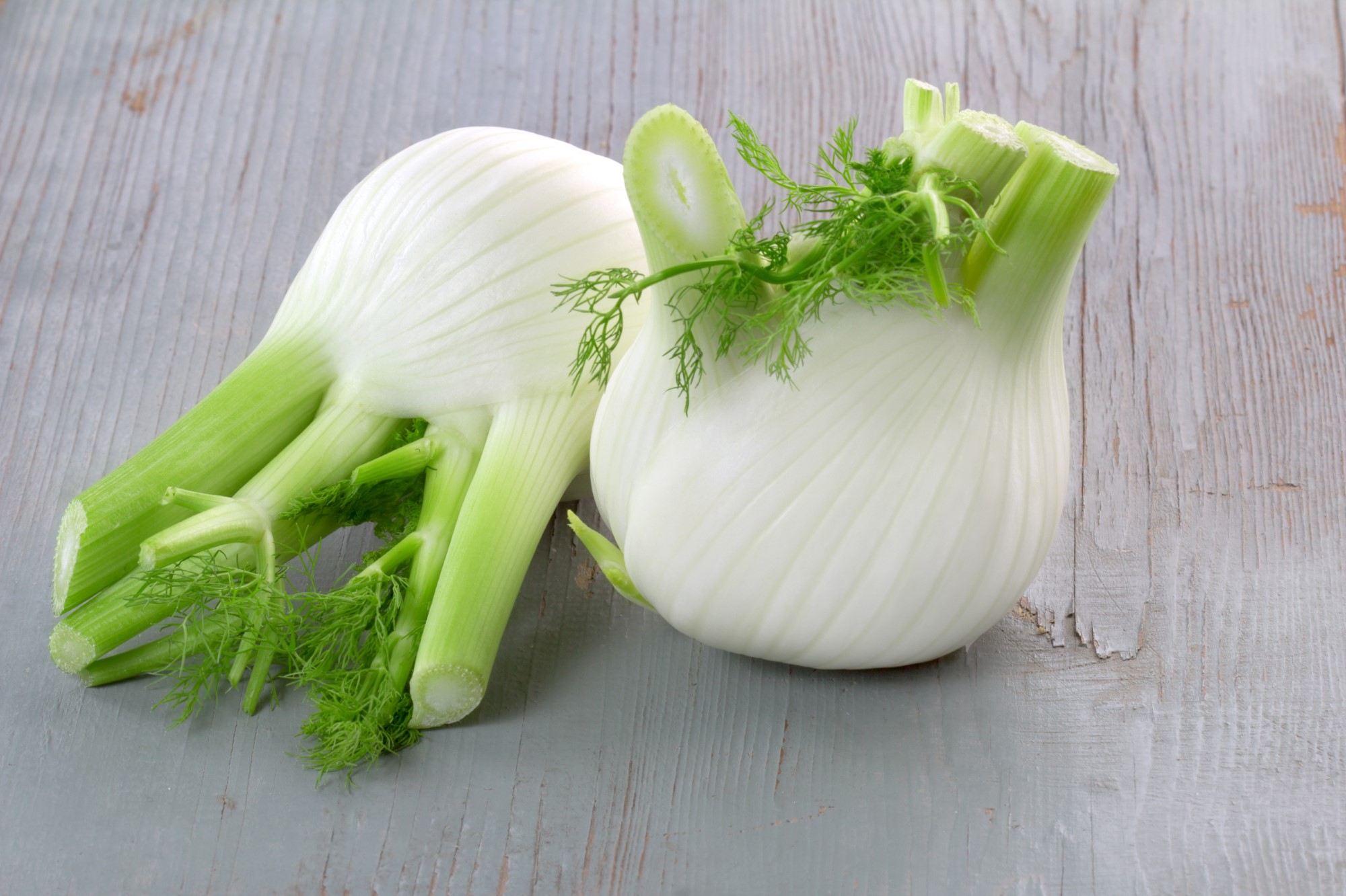 Fenchel – Zu welchen Speisen passt er am besten?