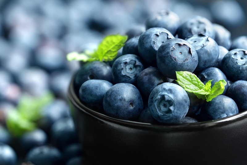 Blaubeeren – Schönheitselixier für die Haut und gut beim Abnehmen