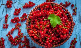 Johannisbeeren – Echtes Beauty Food für Haut und Haare