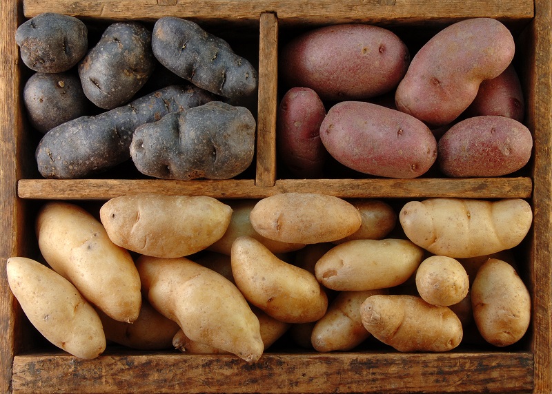 Kartoffeln – Helfen sie beim Abnehmen oder machen sie dick?