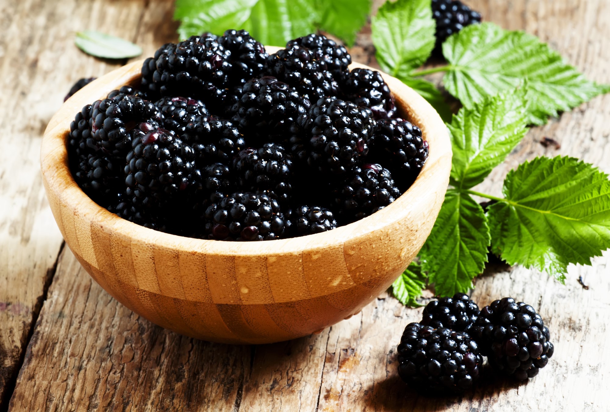 Brombeeren – Schmerzlindernd, Entzündungshemmend und Antibakteriell