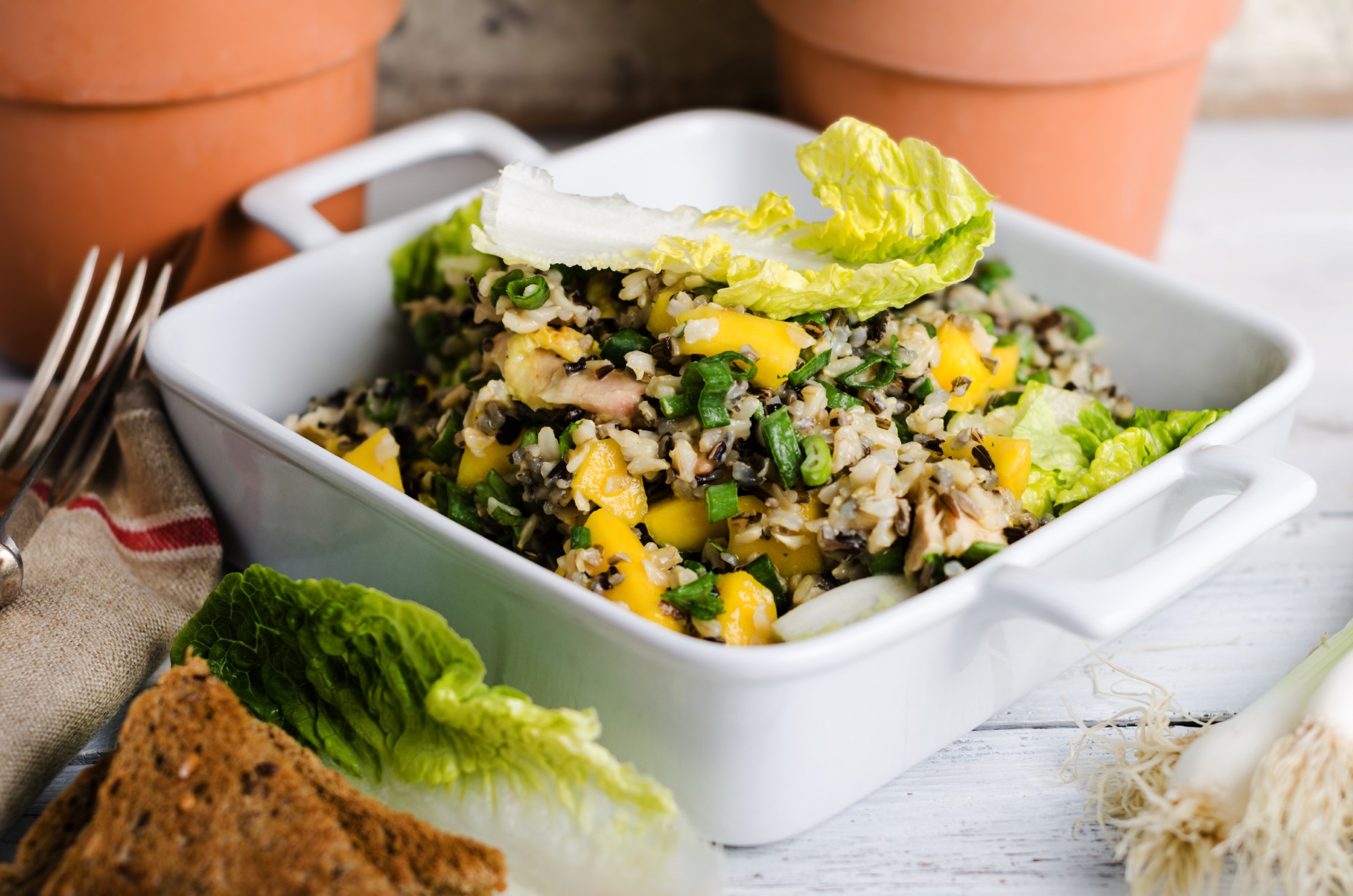 Ideen für Low Fat Rezepte zum Mittagessen und zum Abnehmen