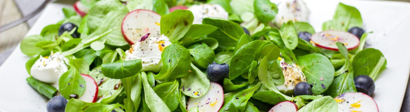 Ziegenkäse-Feldsalat mit Blaubeeren